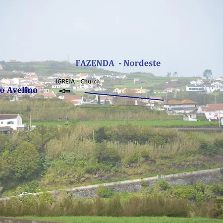 Casa De Avelino Al *